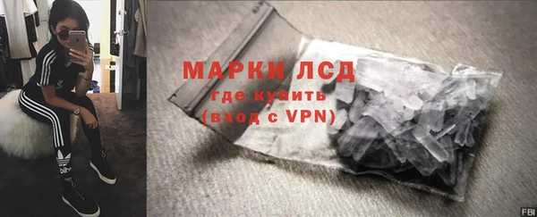 прущие грибы Алзамай