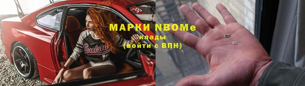 прущие грибы Алзамай
