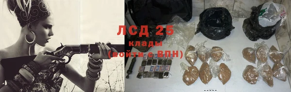 прущие грибы Алзамай
