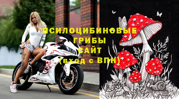 прущие грибы Алзамай