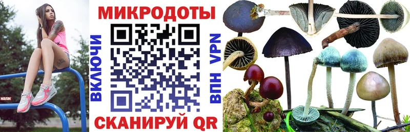блэк спрут зеркало  Десногорск  Галлюциногенные грибы Magic Shrooms  купить наркоту 