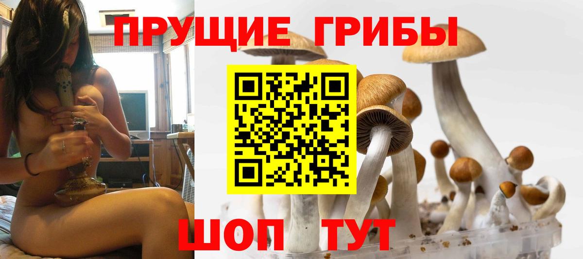 Псилоцибиновые грибы GOLDEN TEACHER  Вход с VPN  Десногорск  Галлюциногенные грибы Psilocybe 
